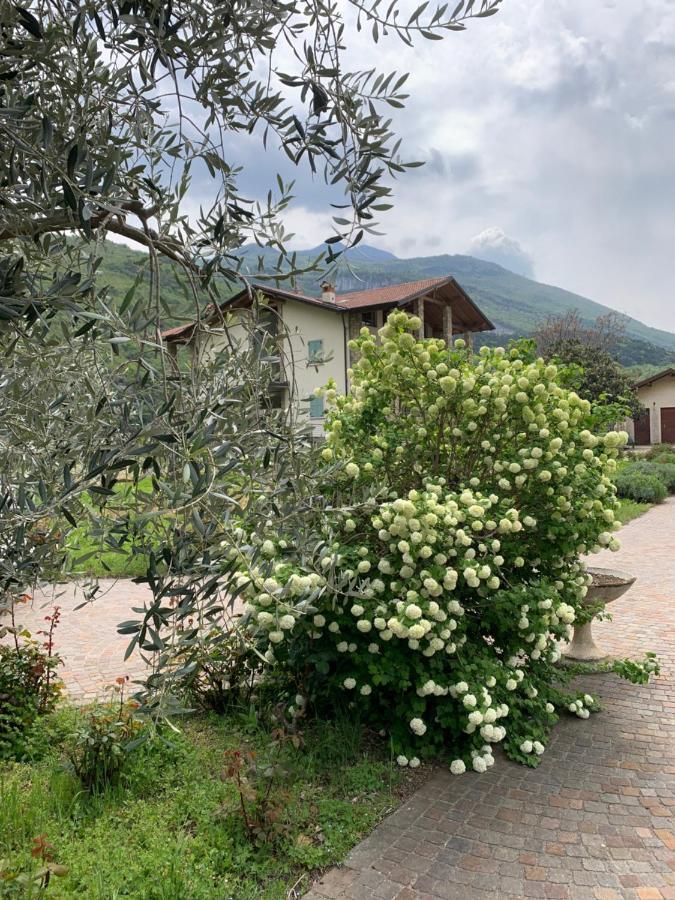 Penzion Agritur Stefenelli Torbole Sul Garda Exteriér fotografie